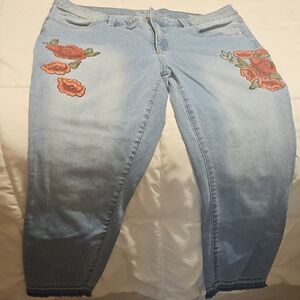 a.n.a Blue Cropped Jeans with Red Floral Embroidery
